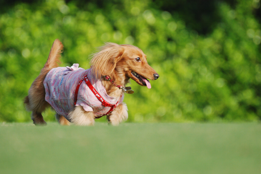 DSC_0322.jpg DSC_0322.jpg