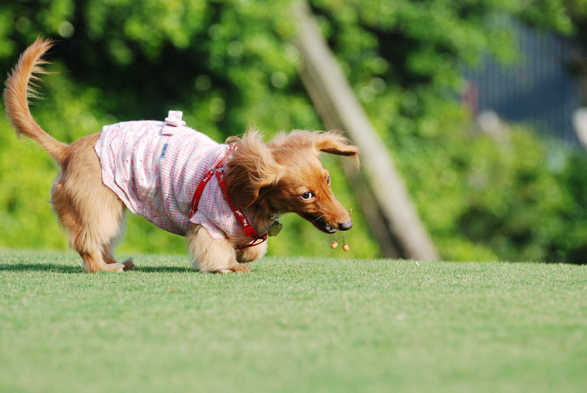 DSC_0328.jpg DSC_0328.jpg