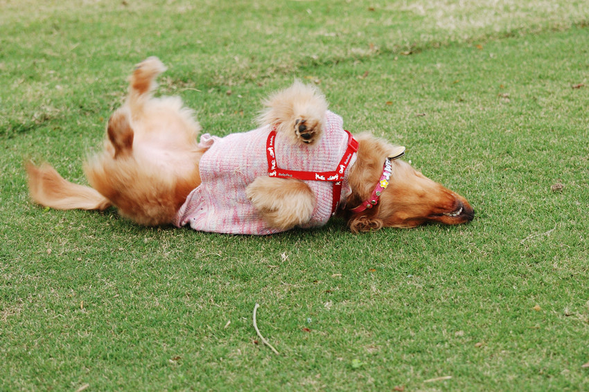 DSC_0372.jpg DSC_0372.jpg