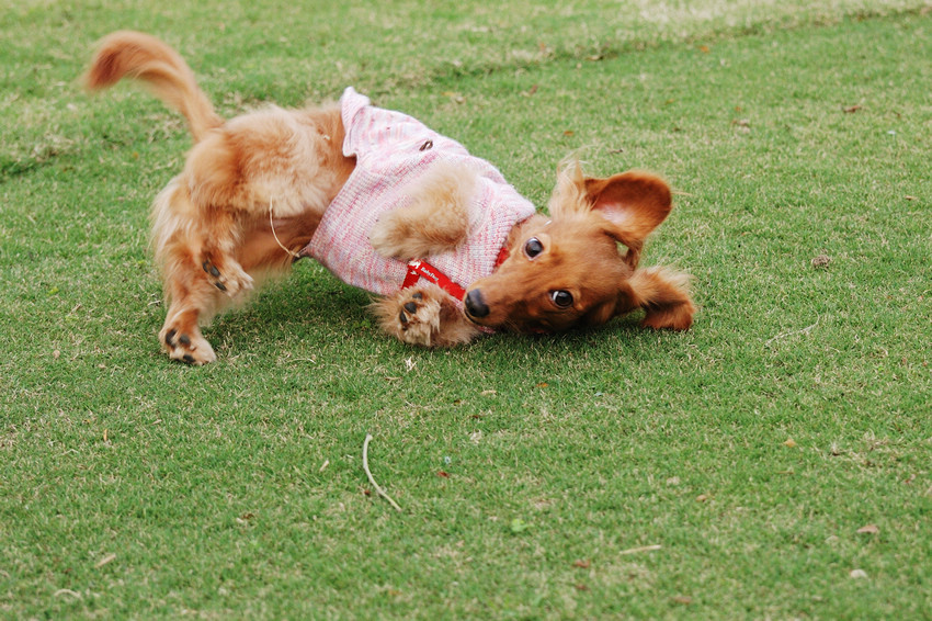 DSC_0373.jpg DSC_0373.jpg