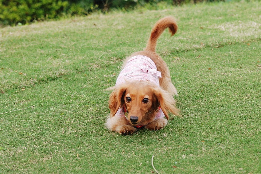 DSC_0374.jpg DSC_0374.jpg