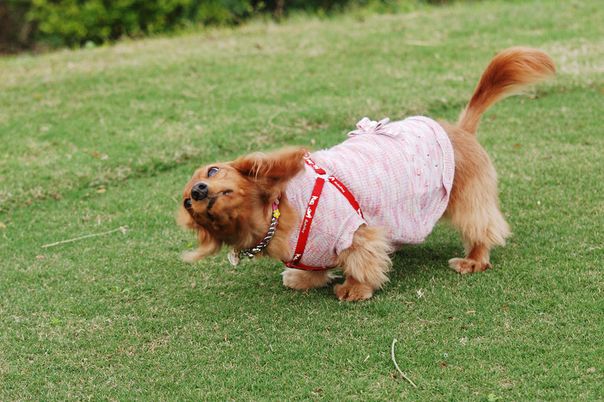 DSC_0375.jpg DSC_0375.jpg