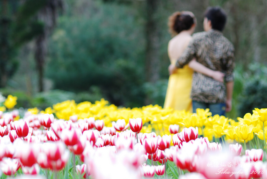 DSC_0462.jpg DSC_0462.jpg