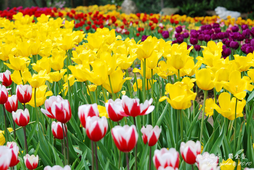 DSC_0548.jpg DSC_0548.jpg