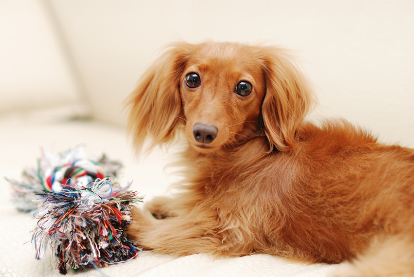 DSC_2362.jpg DSC_2362.jpg