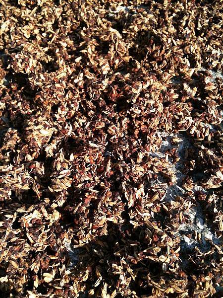 2013-06-29 16.35.31.jpg 2013-06-29 16.35.31.jpg