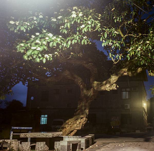 20130705-000033890007 20130705-000033890007