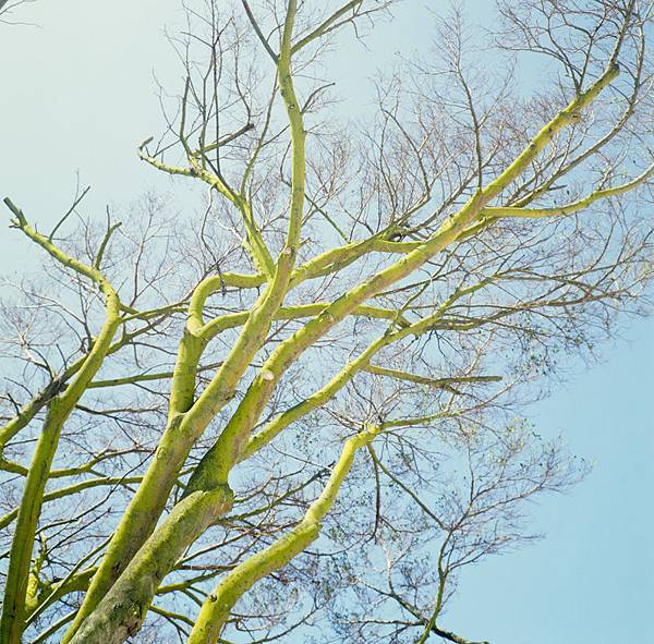 20130705-000033690001