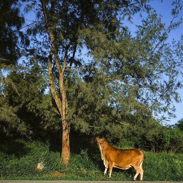 20130705-000033850006