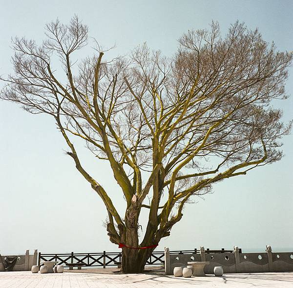 20130705-000033890010