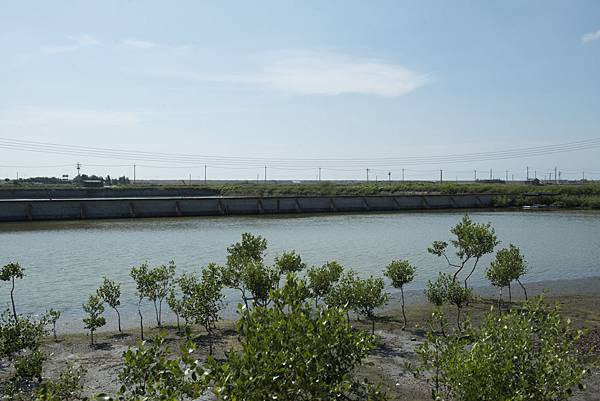 20130805-_APO8015.jpg 20130805-_APO8015.jpg