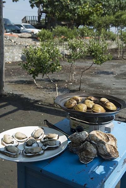 20130805-_APO8135.jpg 20130805-_APO8135.jpg