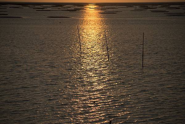 20130805-_APO8264.jpg 20130805-_APO8264.jpg