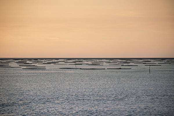 20130805-_APO8265.jpg 20130805-_APO8265.jpg