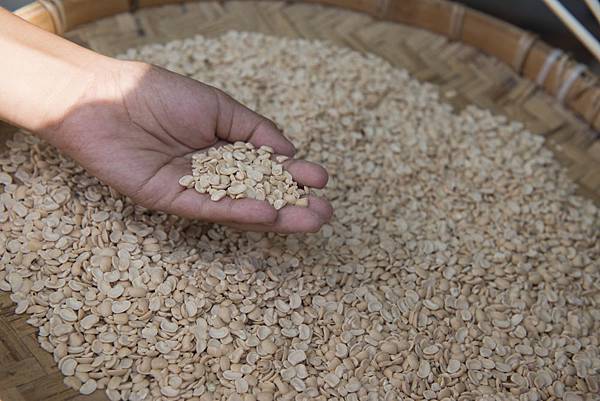 20130806-_APO8372.jpg 20130806-_APO8372.jpg