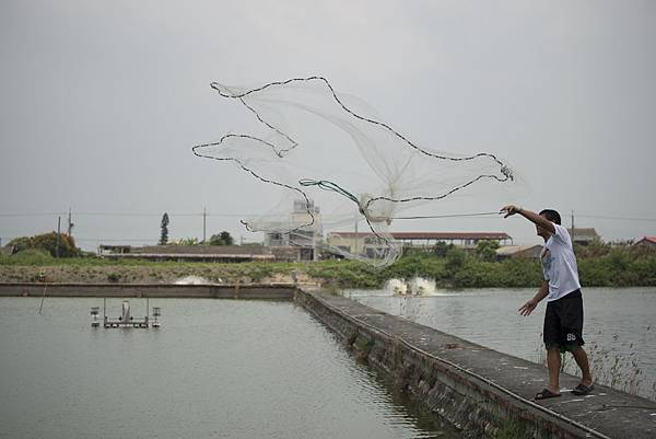 20130806-_APO8512.jpg 20130806-_APO8512.jpg