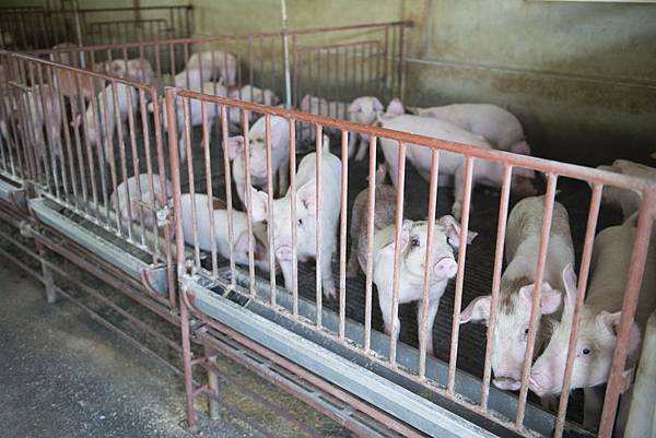 20130806-_APO8537.jpg 20130806-_APO8537.jpg