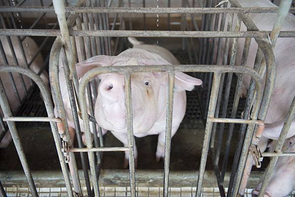 20130806-_APO8539.jpg 20130806-_APO8539.jpg