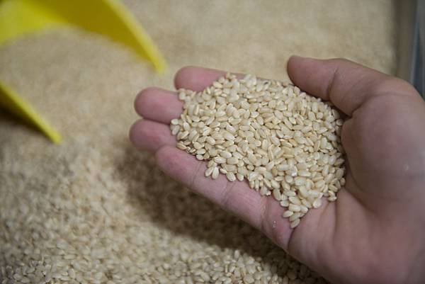 20130806-_APO8659.jpg 20130806-_APO8659.jpg