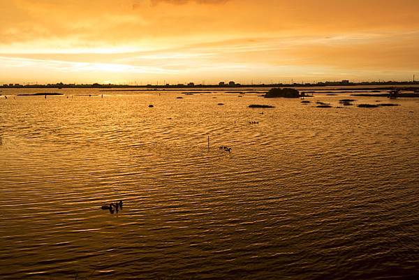 20130806-_APO8681.jpg 20130806-_APO8681.jpg