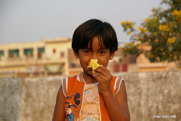PropcIndia (8).JPG PropcIndia (8).JPG
