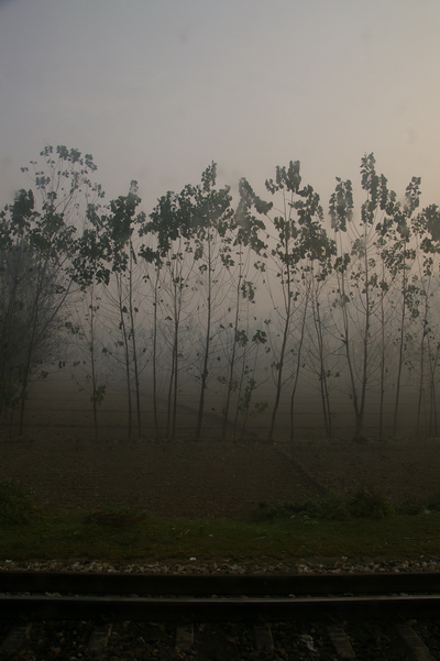 INdia 1125-01.JPG INdia 1125-01.JPG