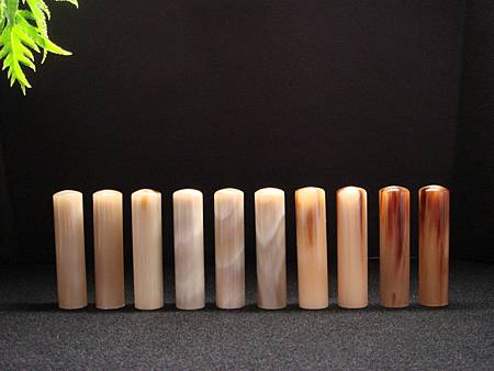 頂級南非牛角圓料 頂級南非牛角圓料