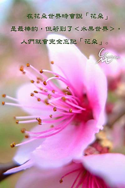 1654125_208110759386311_2143452725_n