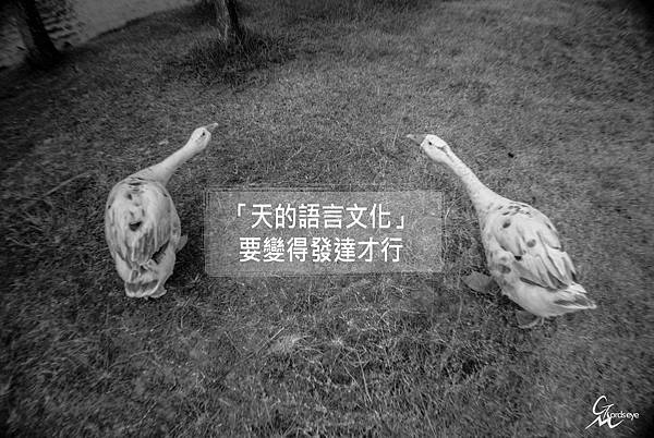 攝理 鄭明析 天的語言文化要變得發達才行