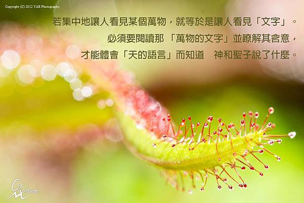 攝裡 鄭明析 若集中地讓人看見某個萬物,就等於是讓人看見「文字」。必須要閱讀那<萬物的文字>並瞭解其含意,才能體會「天的語言」而知道 神和聖子說了什麼。 攝裡 鄭明析 若集中地讓人看見某個萬物,就等於是讓人看見「文字」。必須要閱讀那<萬物的文字>並瞭解其含意,才能體會「天的語言」而知道 神和聖子說了什麼。