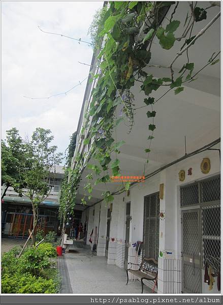 背心色板國語日報訪視 139 背心色板國語日報訪視 139