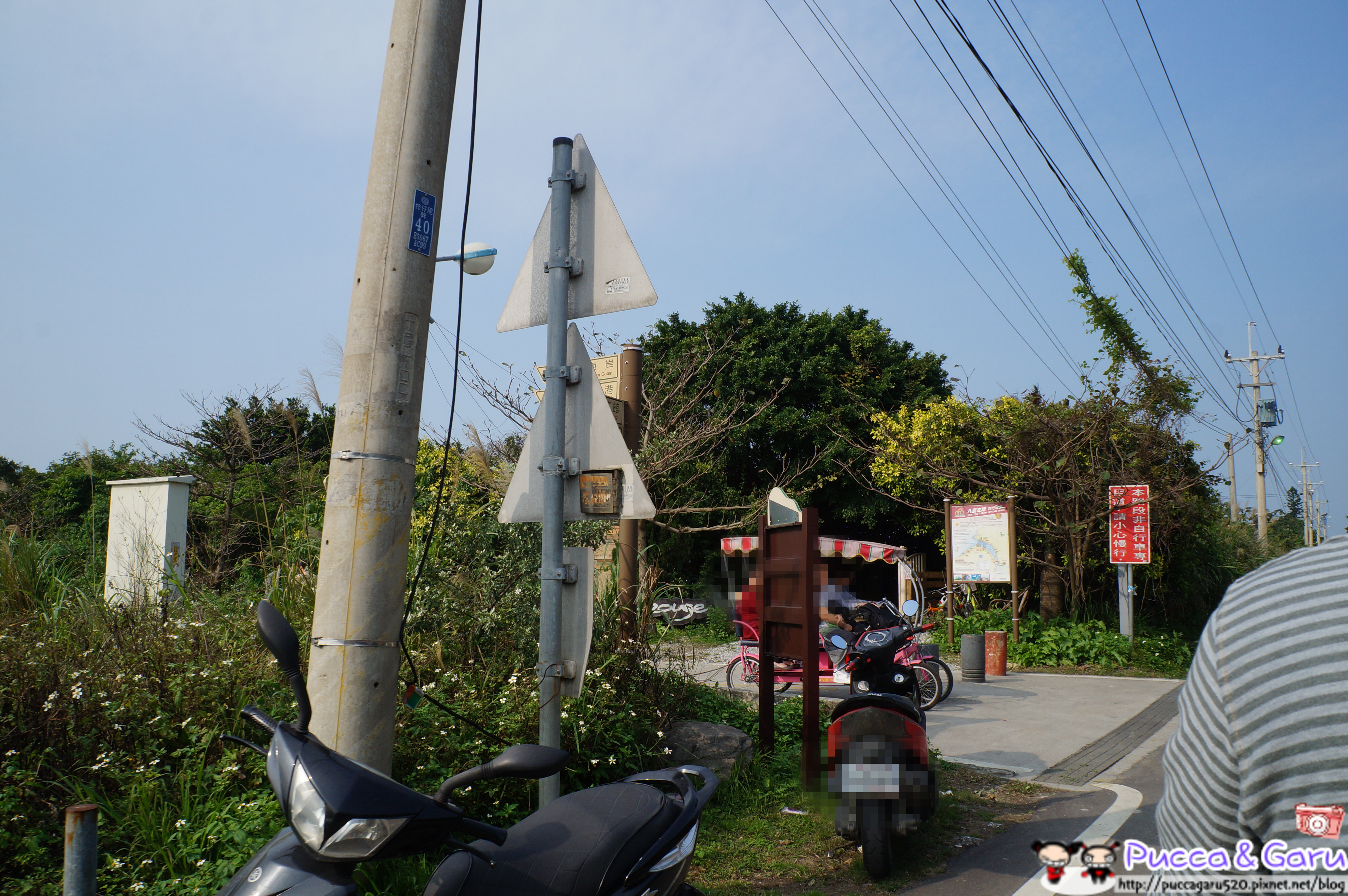 DSC00880_副本 DSC00880_副本