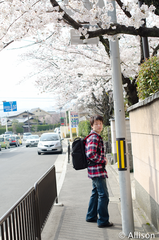 DSC_3032 DSC_3032