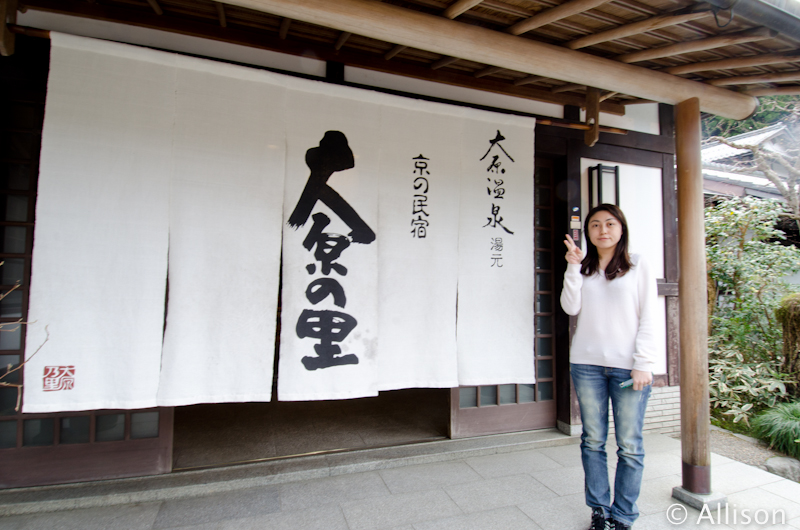 DSC_3553 DSC_3553