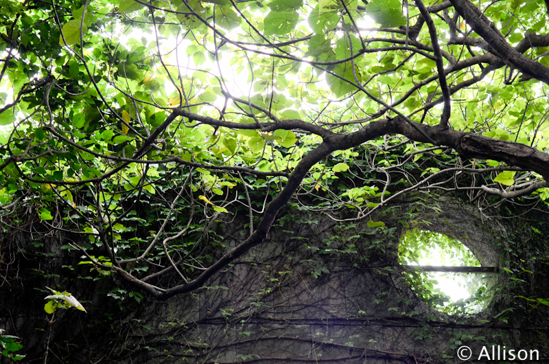 DSC_5463 DSC_5463