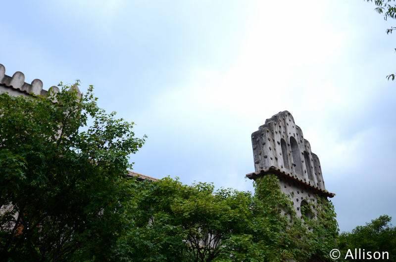 DSC_7492 DSC_7492