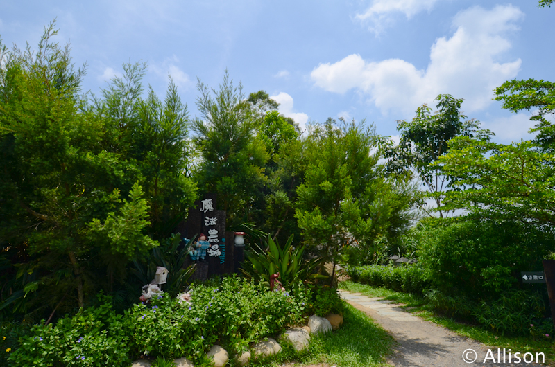 DSC_7798 DSC_7798