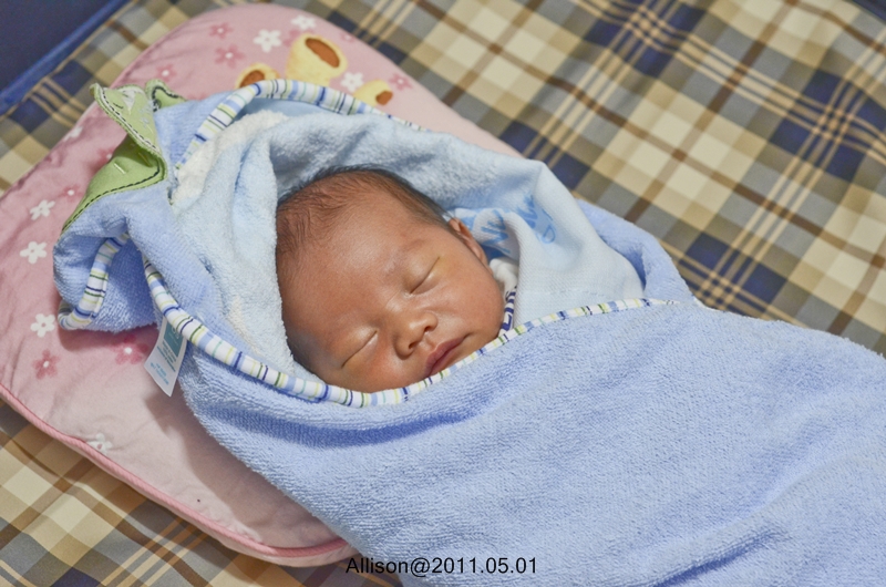 DSC_2849_1.JPG DSC_2849_1.JPG