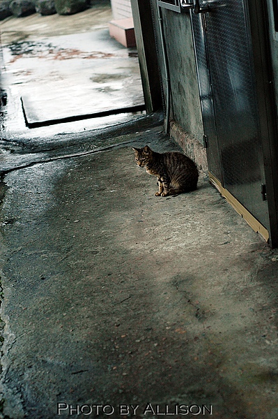 DSC_8172.JPG DSC_8172.JPG