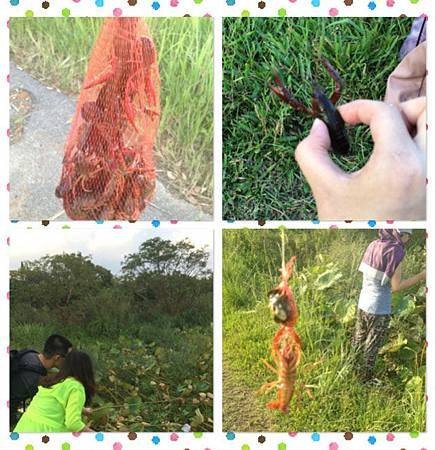 S__2973708.jpg S__2973708.jpg