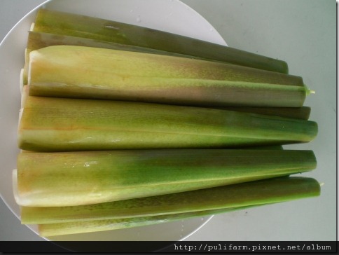 新鮮茭白筍_01 新鮮茭白筍_01