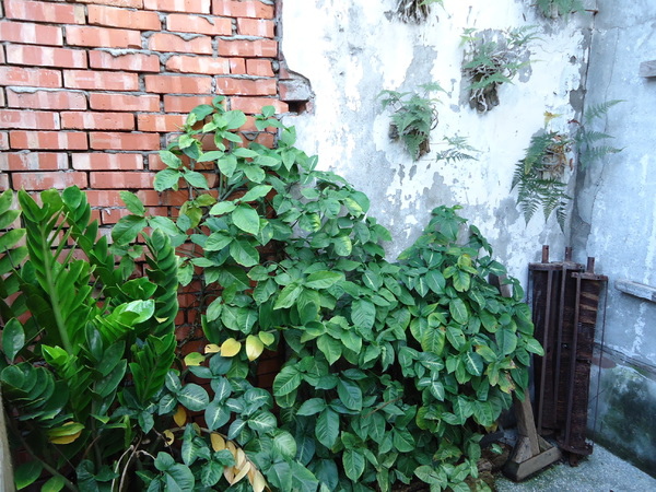 拾光機:【台中下午茶】搭上拾光機 ,一起去旅行! 拾光機:【台中下午茶】搭上拾光機 ,一起去旅行!