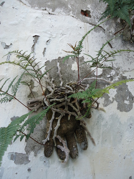 拾光機:【台中下午茶】搭上拾光機 ,一起去旅行! 拾光機:【台中下午茶】搭上拾光機 ,一起去旅行!