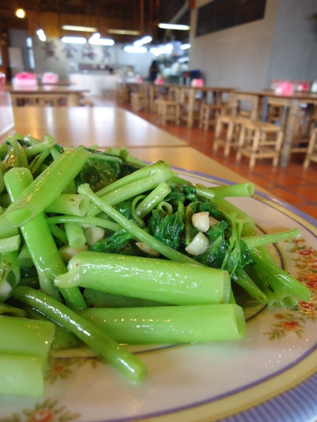 黃金海岸活蝦之家(台中店):【黃金海岸活蝦之家台中店】來台中嘗嘗現撈鮮煮的活蝦料理吧 黃金海岸活蝦之家(台中店):【黃金海岸活蝦之家台中店】來台中嘗嘗現撈鮮煮的活蝦料理吧