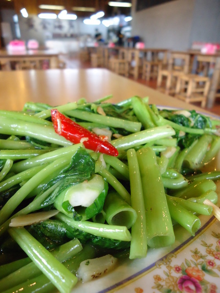 黃金海岸活蝦之家(台中店):【黃金海岸活蝦之家台中店】來台中嘗嘗現撈鮮煮的活蝦料理吧 黃金海岸活蝦之家(台中店):【黃金海岸活蝦之家台中店】來台中嘗嘗現撈鮮煮的活蝦料理吧