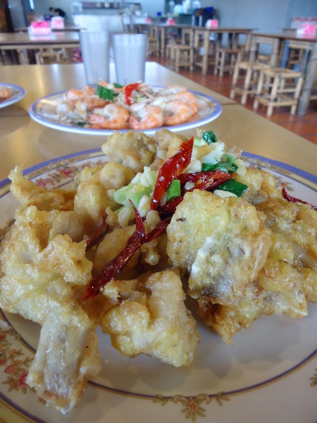 黃金海岸活蝦之家(台中店):【黃金海岸活蝦之家台中店】來台中嘗嘗現撈鮮煮的活蝦料理吧 黃金海岸活蝦之家(台中店):【黃金海岸活蝦之家台中店】來台中嘗嘗現撈鮮煮的活蝦料理吧