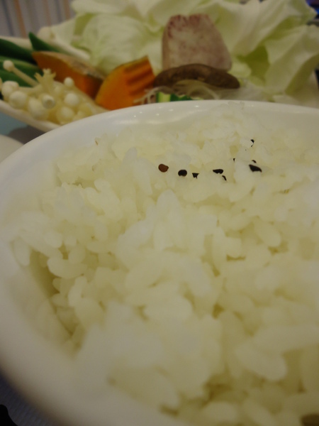 雲閒居景觀會館:【新社旅遊住宿】坐看雲起時與大自然的對話@ 新社雲閒居景觀會館 雲閒居景觀會館:【新社旅遊住宿】坐看雲起時與大自然的對話@ 新社雲閒居景觀會館