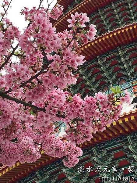 41584809365873_7562155096596019204_n 41584809365873_7562155096596019204_n