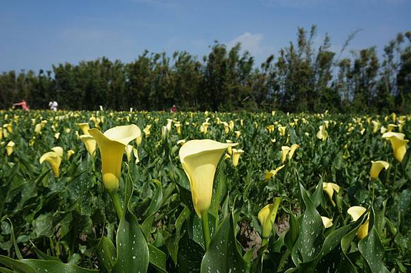 3.DSC00480.JPG 3.DSC00480.JPG