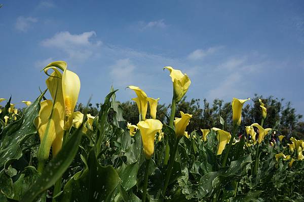 10.DSC00546.JPG 10.DSC00546.JPG